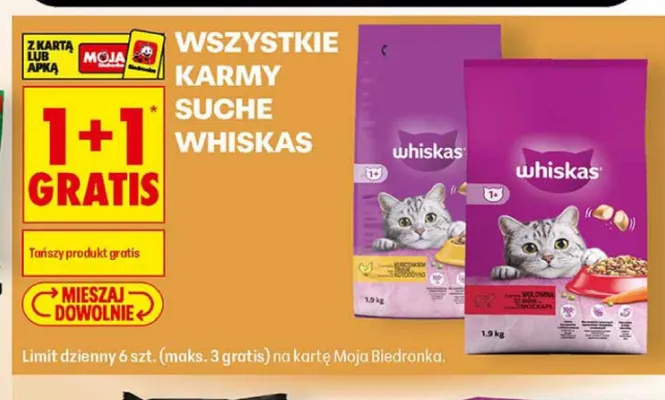 Karma sucha dla kota Whiskas promocja w Biedronka