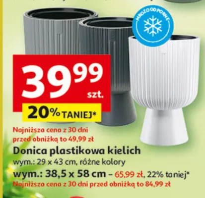 Donica plastikowa kielich 38.5x58cm promocja w Auchan