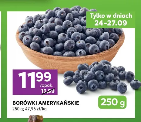Borówki amerykańskie promocja w Stokrotka