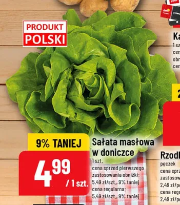 Sałata masłowa w doniczce promocja w POLOmarket