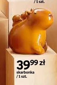 Skarbonka Paperdot Cappy Classes promocja w Empik