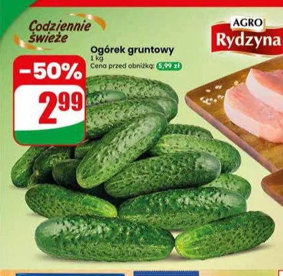 Ogórek gruntowy promocja w Dino