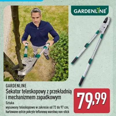 Sekator teleskopowy z przekładnią i mechanizmem zapadkowym promocja w Aldi