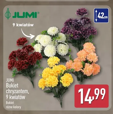 Bukiet chryzantem 9 kwiatów Jumi biały 42 cm promocja w Aldi