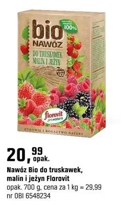 Bio do truskawek, malin i jeżyn promocja w OBI