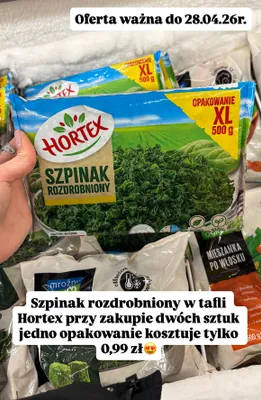 Szpinak rozdrobniony w tafli promocja w Dino