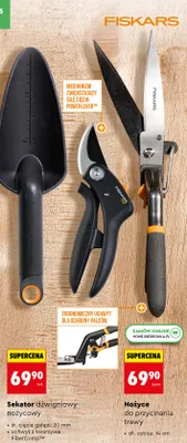 Nożyce do przycinania trawy promocja w Biedronka