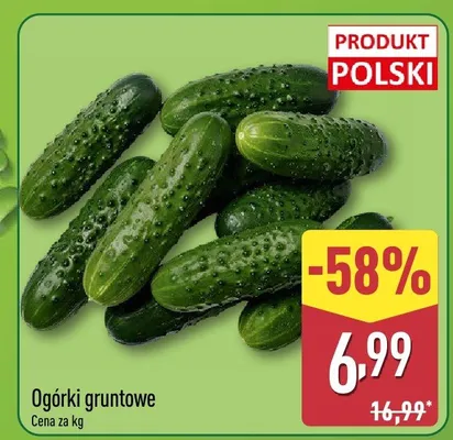 Ogórki gruntowe polskie promocja w Aldi