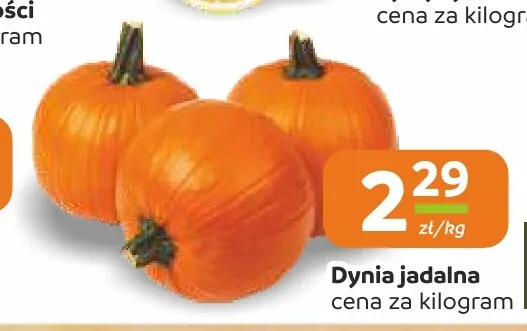Dynia jadalna promocja w Społem Częstochowa