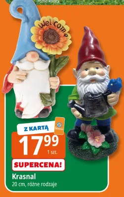 Krasnal promocja w Leclerc