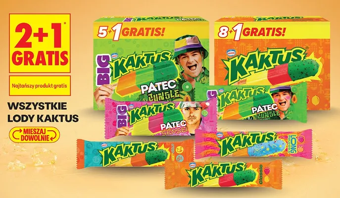 Lody Kaktus Classic 9-pak promocja w Biedronka