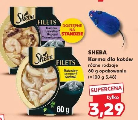 Karma dla kotów promocja w Kaufland