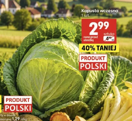 Kapusta wczesna polska promocja w Delikatesy Centrum