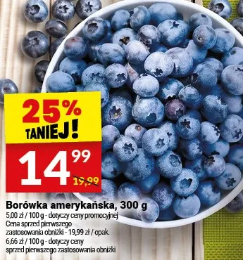 Borówka amerykańska promocja w Twój Market
