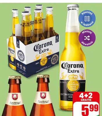 Piwo Corona promocja w Dino