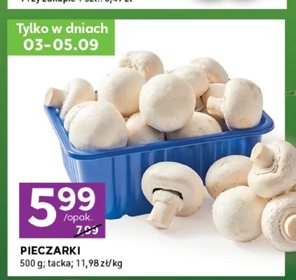 Pieczarki promocja w Stokrotka