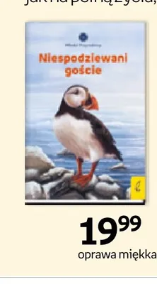 Książka Niespodziewani goście Młodzi Przyrodnicy Wydawnictwo Wilga promocja w Empik