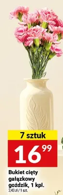 Bukiet cięty gałązkowy goździk promocja w Twój Market