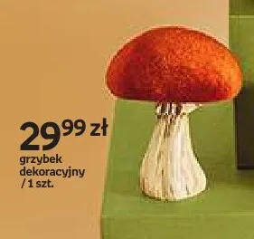 Grzybek dekoracyjny Hello Autumn promocja w Empik