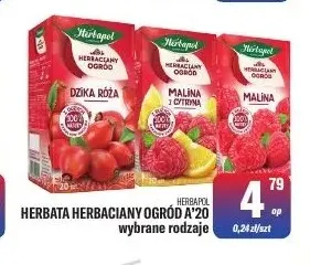 Herbata Herbaciany Ogród Herbapol promocja w Tomi Markt