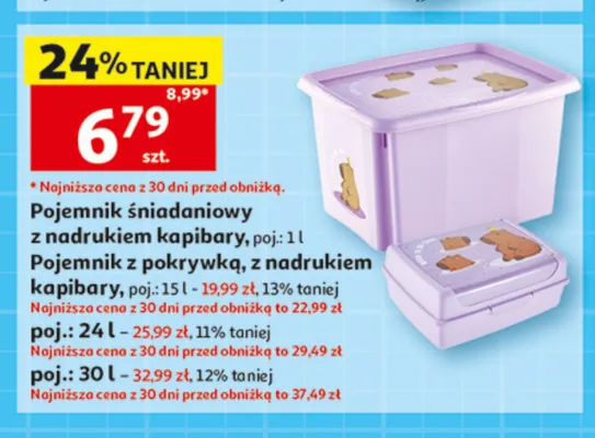 Pojemnik śniadaniowy z nadrukiem kapibary 1 l promocja w Auchan