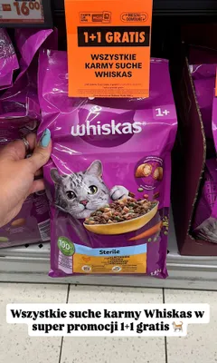 Karma sucha Whiskas Sterile z kurczakiem promocja w Biedronka