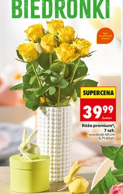 Róża premium promocja w Biedronka