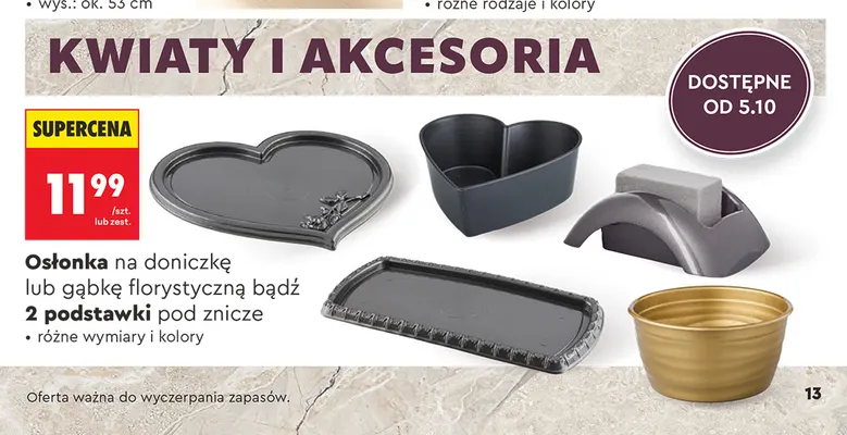 Osłonka na gąbkę florystyczną promocja w Biedronka