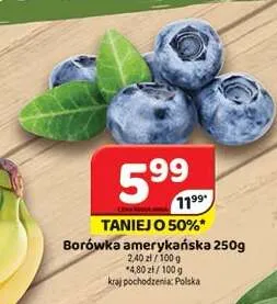 Borówka amerykańska promocja w Delfin