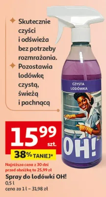 Spray do lodówki promocja w Auchan
