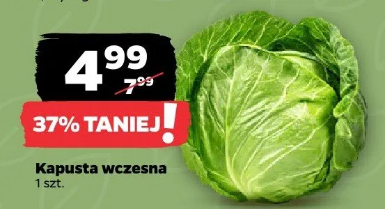 Kapusta wczesna 1 szt. promocja w Netto
