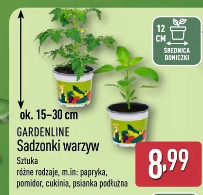 Sadzonki warzyw cukinia GARDENLINE promocja w Aldi