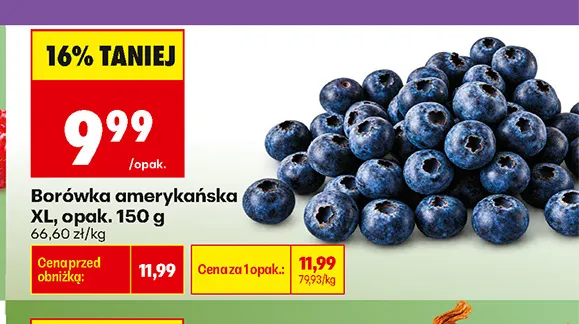 Borówki amerykańskie XL promocja w Biedronka