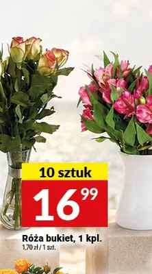 Róża bukiet Twój Market promocja w Twój Market