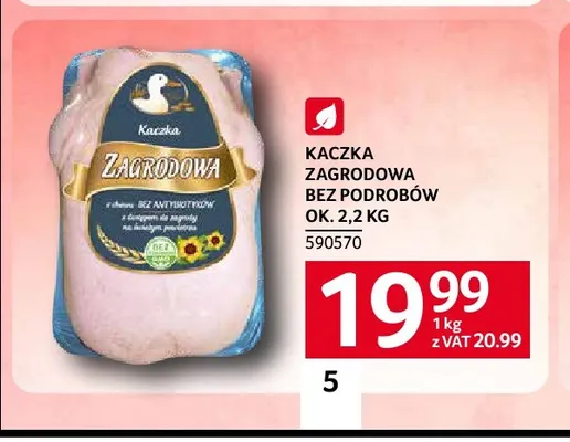 Kaczka bez podrobów promocja w Selgros