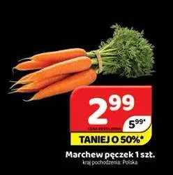 Marchew pęczek promocja w Delfin