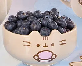 Miseczka o poj. 530ml Pusheen promocja w Biedronka