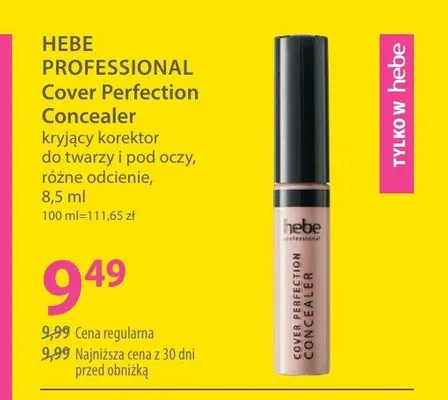 Korektor kryjący do twarzy i pod oczy Hebe Professional Cover Perfection promocja w Hebe