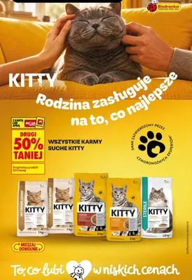 Karma sucha Kitty No Grains z kurczakiem promocja w Biedronka