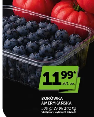 Borówka amerykańska promocja w ABC