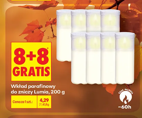 Wkład parafinowy do zniczy Lumia promocja w Biedronka