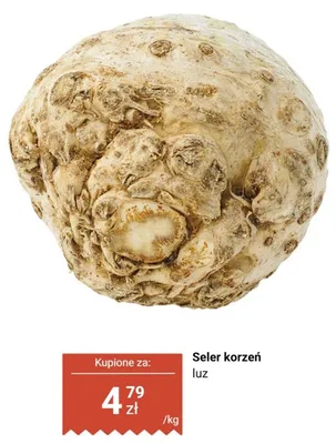 Seler korzeń luz promocja w Biedronka