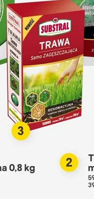 Trawa renowacyjna 1 kg promocja w Castorama