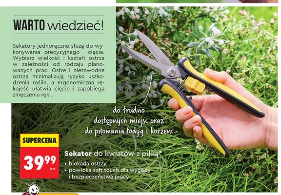 Sekator do kwiatów z piłką GERLACH promocja w Biedronka