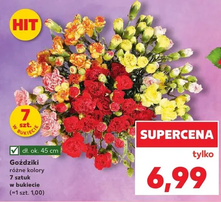 Goździki promocja w Kaufland