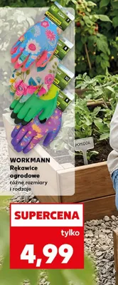 Rękawice ogrodowe Workmann promocja w Kaufland