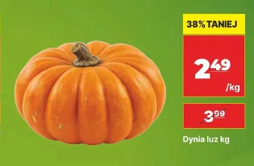 Dynia luz promocja w API Market