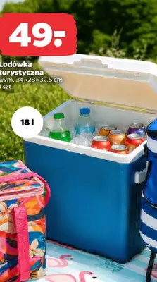 Lodówka turystyczna 18 l 34x28x32,5 cm Netto promocja w Netto