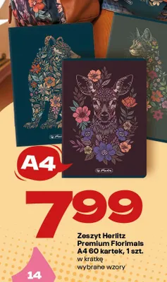 Zeszyt Herlitz Premium Florimals A4 60 kartek promocja w Twój Market
