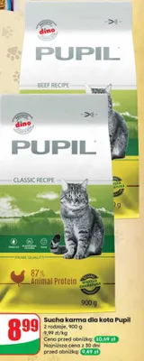 Sucha karma dla kota 2 rodzaje promocja w Dino